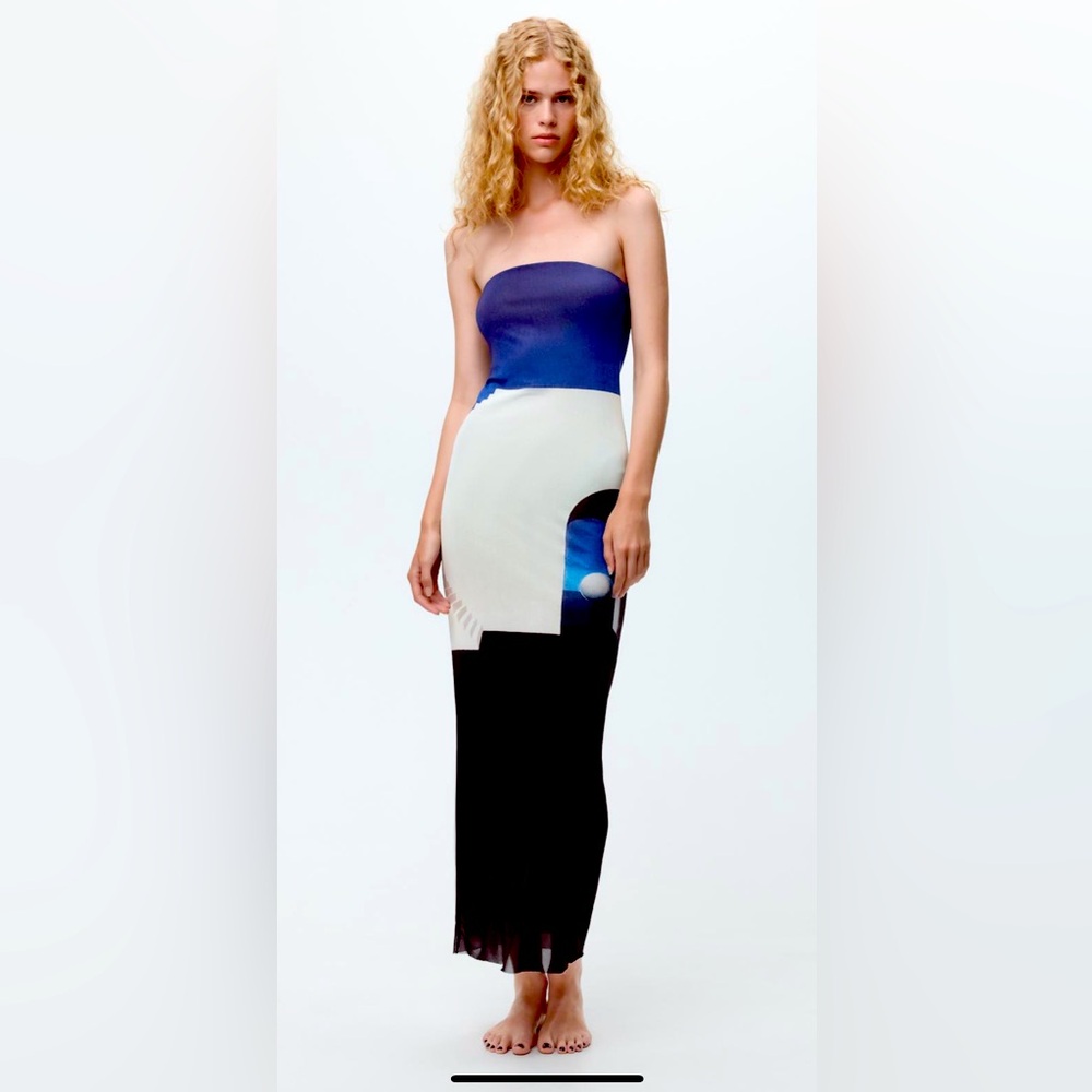 Zara, Sz Medium Tulle Dress. Strapless. René Magritte print.